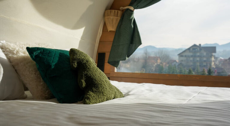 Hora cu Brazi - Cazare Zărnești - Căruță cu coviltir