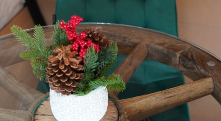 Hora cu Brazi - Cazare Zărnești - Căruță cu coviltir